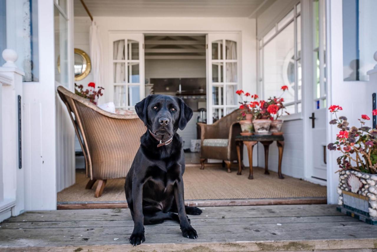 The Boathouse In Felixstowe Ferry - Stunning Waterfront Property Exterior foto